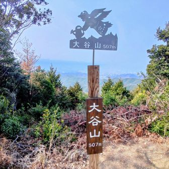 大谷山到着❗愛媛方面のピーク表記😁