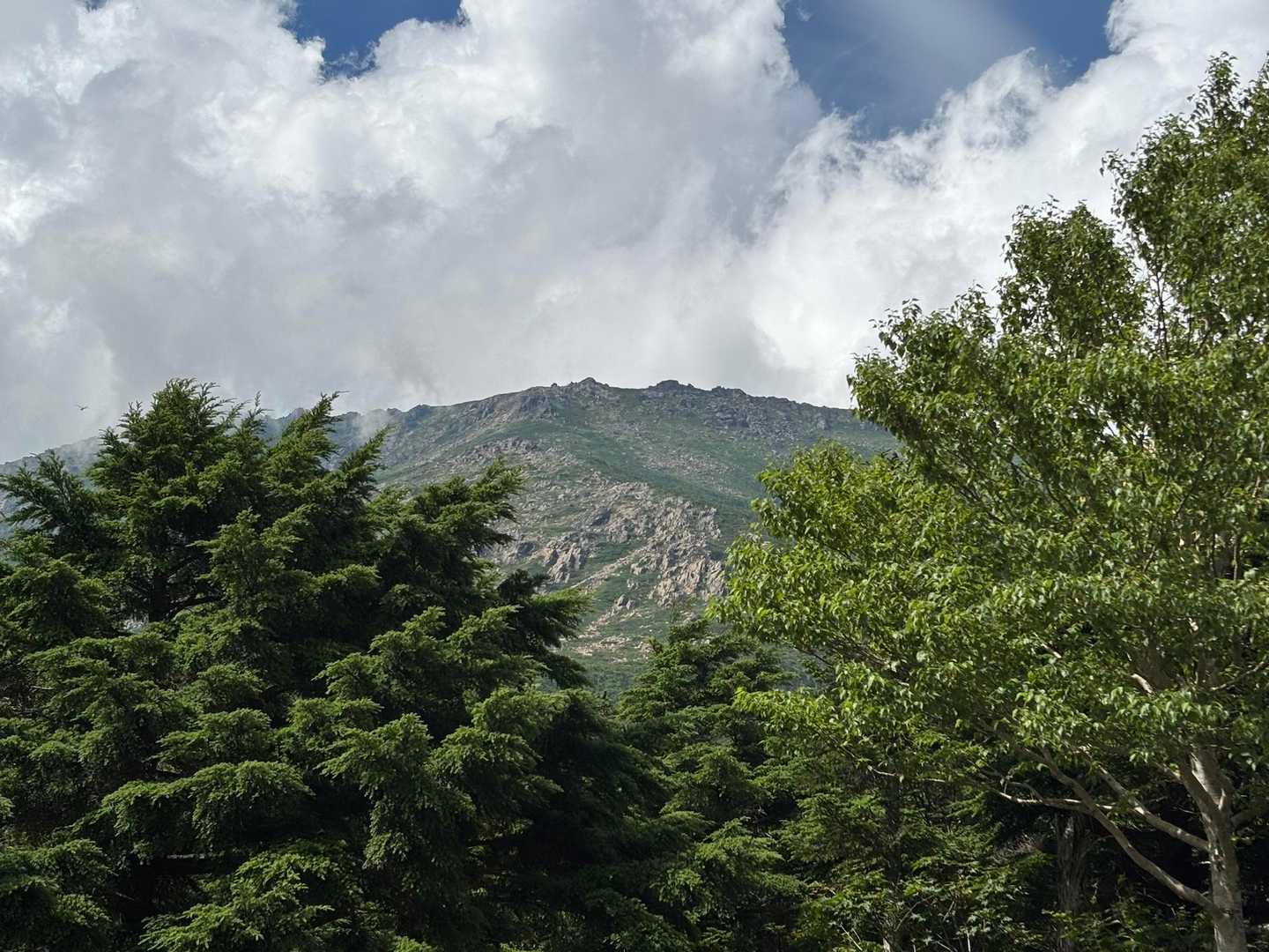 小田越コースの写真