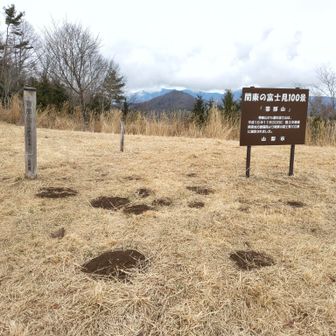 山梨百名山帯那山、登頂！
アヤメの群生地があるから、次回は6月に来たいね。
