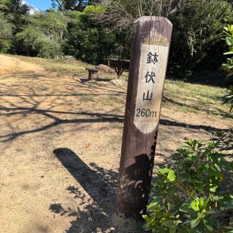 鉢伏山到着