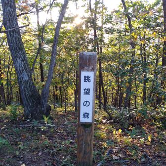 大きな岩が２つと、この標識の場所が頂上かな？
ここから下りますが、チョイ上りも残っているよ