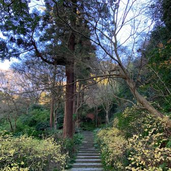 200円の参拝料を払い
瑞泉寺へ続く階段