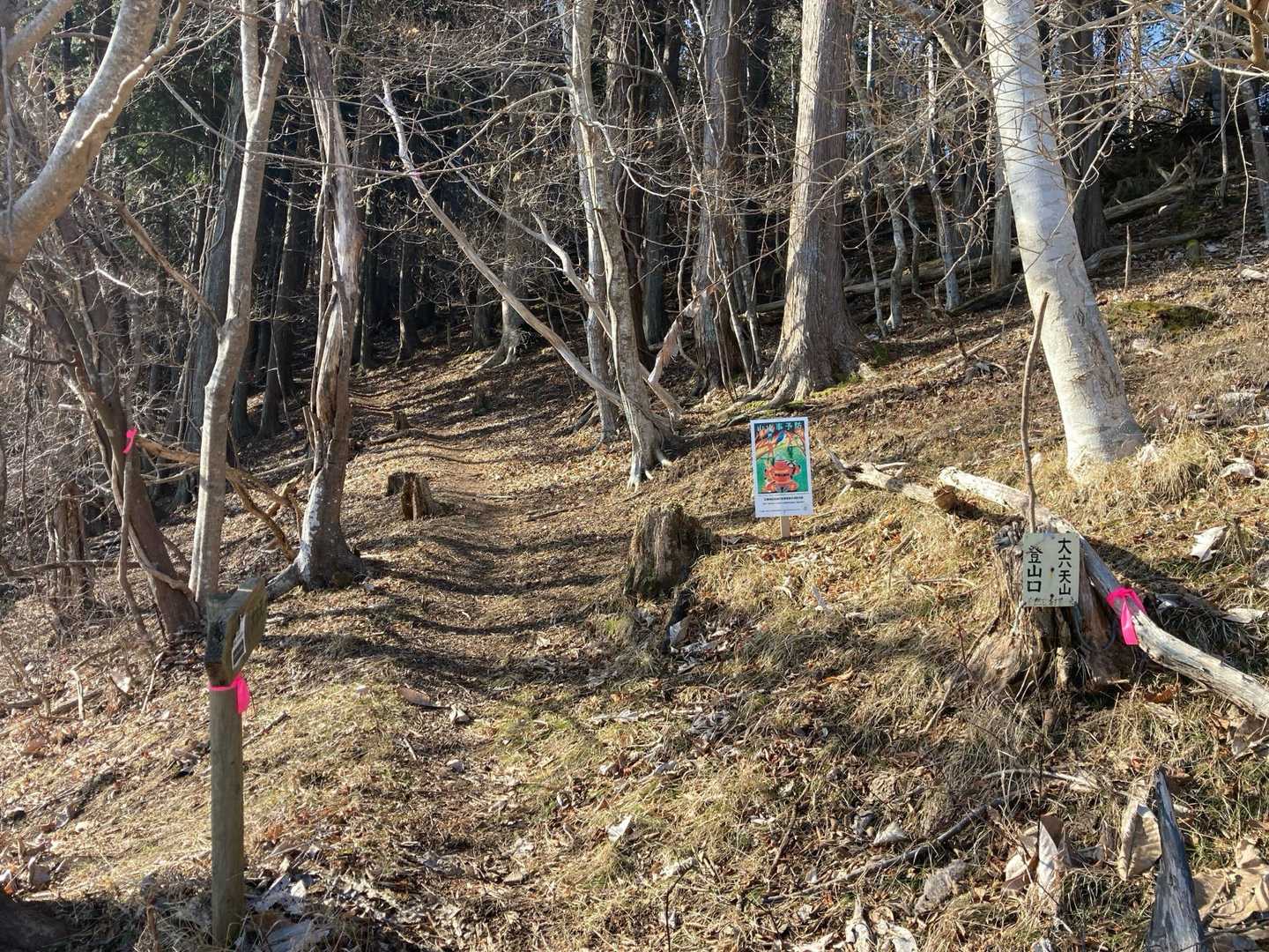 道路渡って登山口