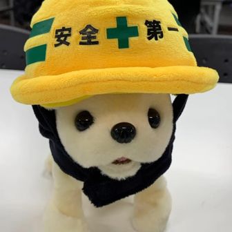 ⭐︎さくら⭐︎