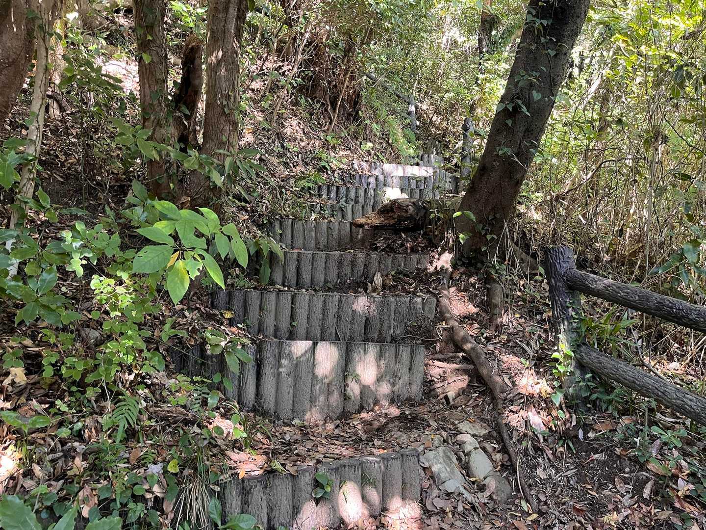 ここから階段地獄💦