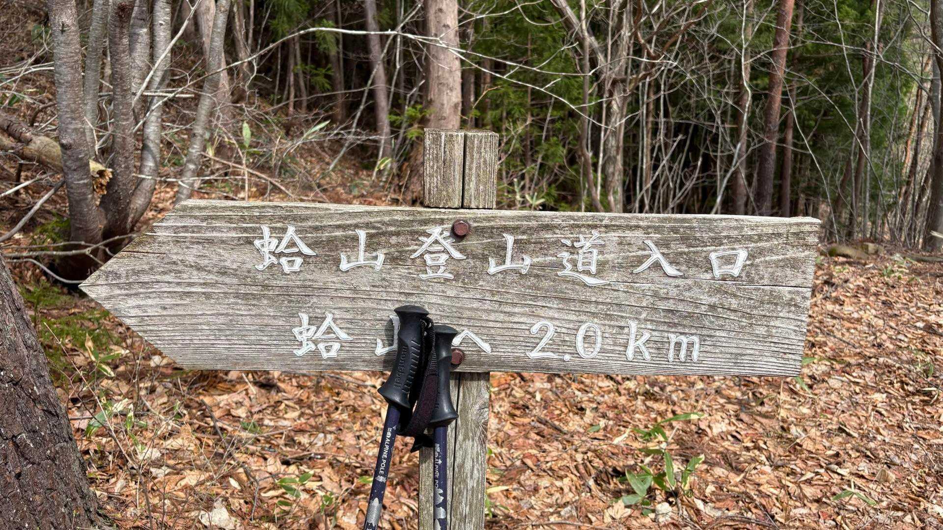 ここから急登　本格的な登山道⛰️

200メートルくらい手前からここまでイワウチワの群生ロード🌸🥰🎶

蛤山にこんなにイワウチワあったっけ？🫨
ってくる度に思うけど
今回は北側斜面いっぱいに咲いてるイワウチワを発見👀🫨🥰
先日同行させていただいたフォロワーさんが言ってた
イワウチワは北側斜面にしかないよ👍　の言葉通りでした🙌