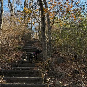 この階段はいつも辛い