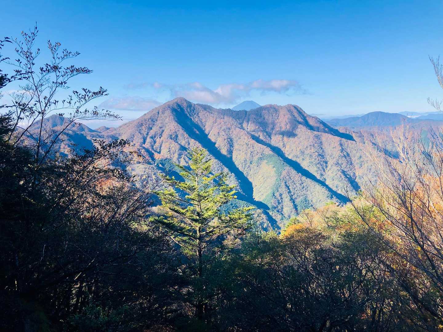 どーんと檜洞丸！その先に富士山チョン😁