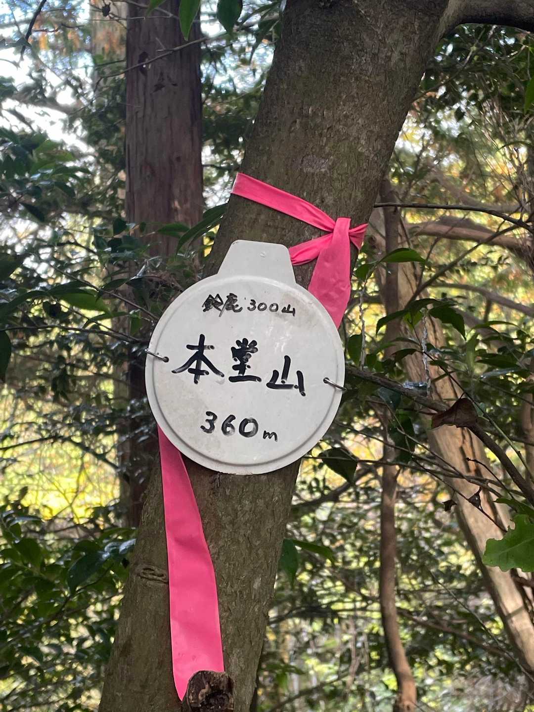 本堂山ピークです‼️