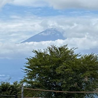 山頂より。富士山がすこーし顔を出してくれた！