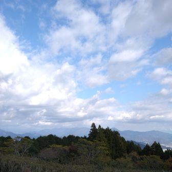 もっとここでゆっくりしていたいんだけど、次々と登られてくる方が休憩出来ないと申し訳ないので撤退💦