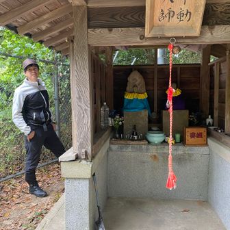 大事にされているのが伝わります