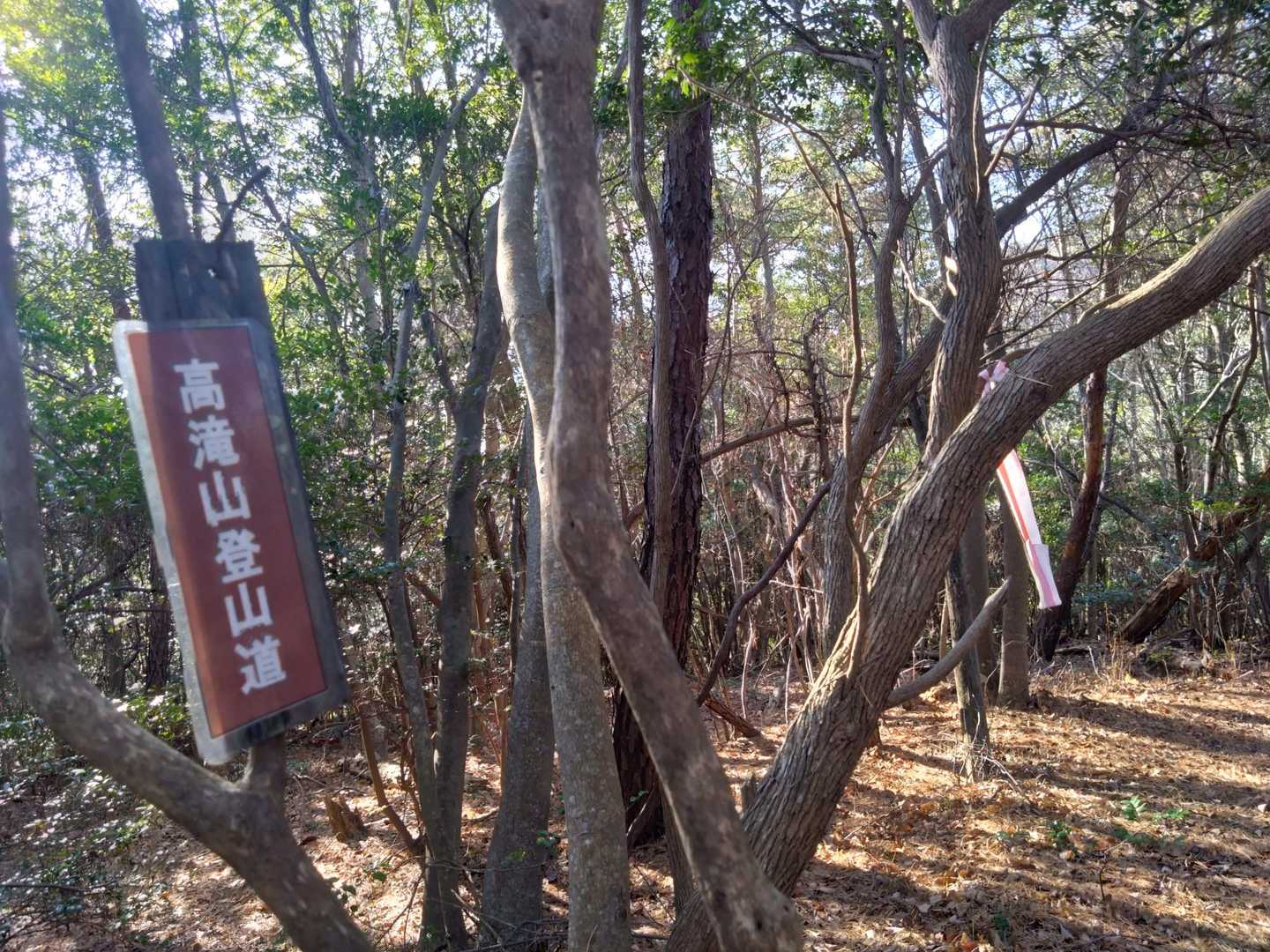 木野山登山口-高滝山-高滝山妙見ルート登山口 周回コースの写真