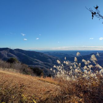 すすきがいいですね