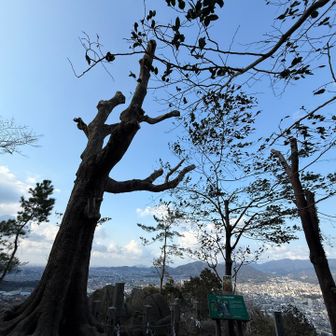 風が強くて🌪️早々に降ります
