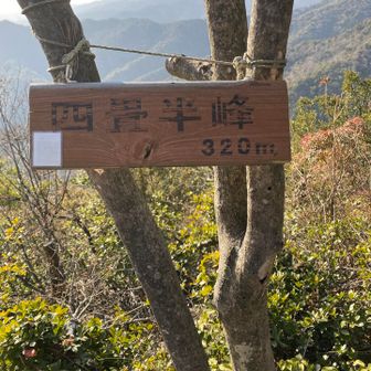 四畳半峰でエネチャ