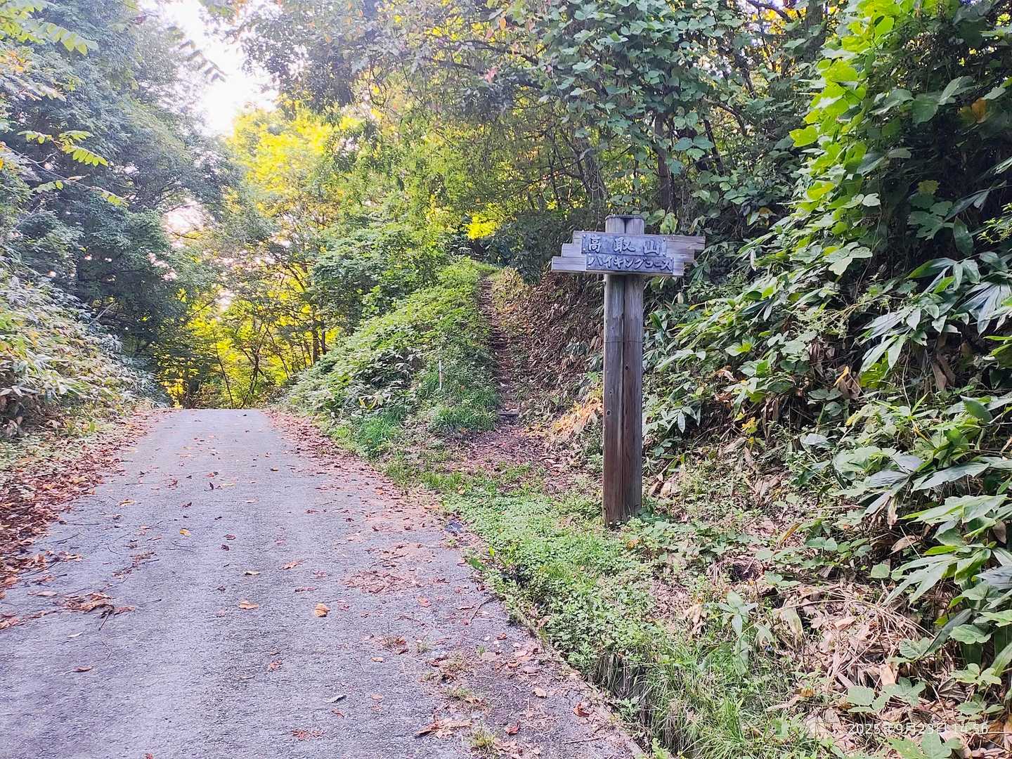 高取山 往復コースの写真