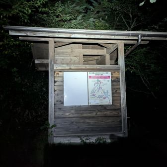 ここまで登ってきてトイレの裏の結構エグい直道を登って行きます💦
(まだトイレの写真しか載せてないよ😂)