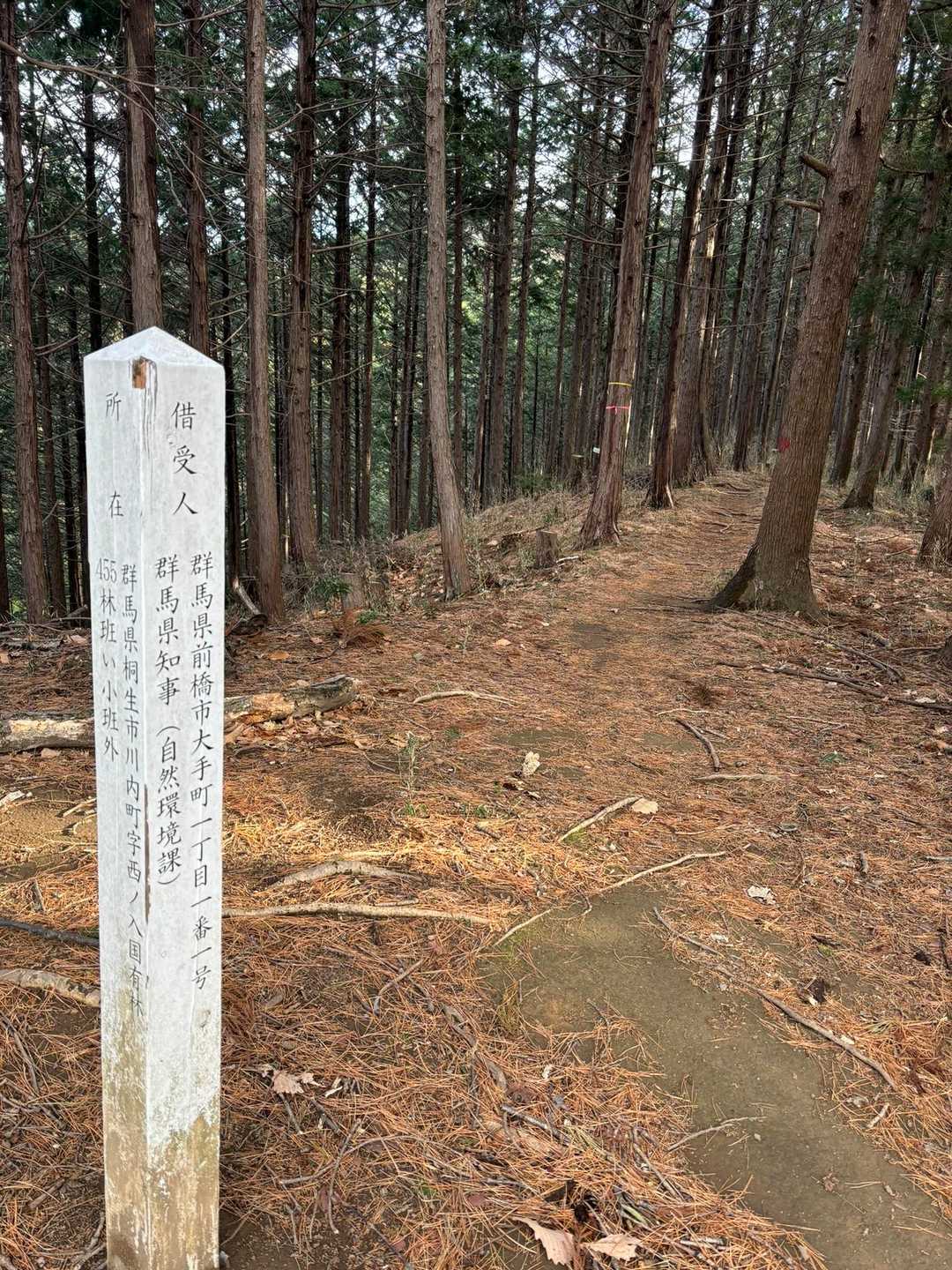自然観察の森バス停 往復コースの写真