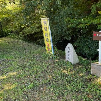 草が刈られている
