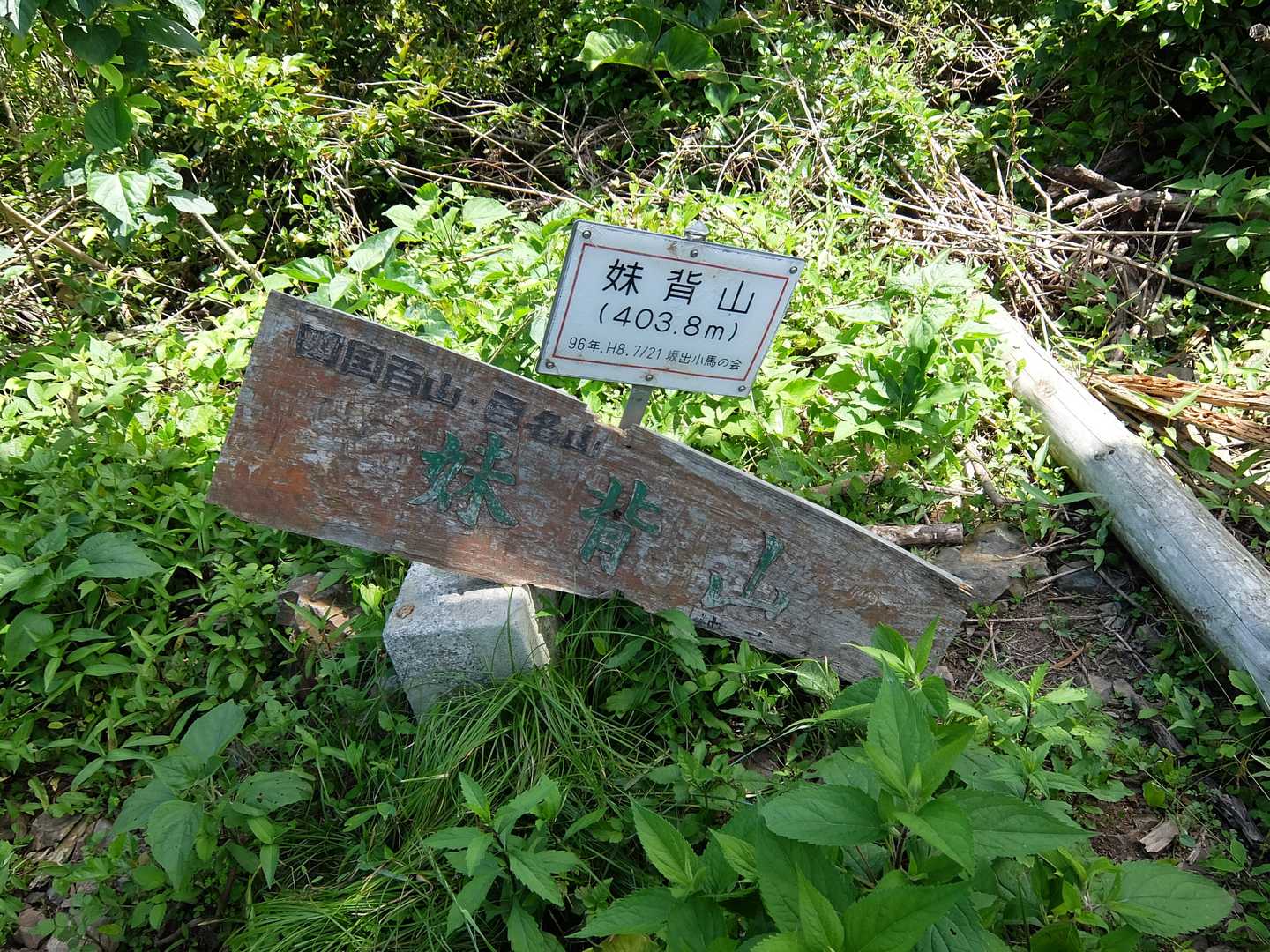 島の駅いもせや-日吉神社-妹背山登山口-妹背山-仏が丘-妹 縦走コースの写真
