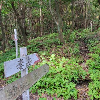 今日はパスしようと思ってた妻岳。やっぱり行こう。
