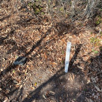 医王山ピークは少し先でした⛰️
しかし全然人に会いませんね👯‍♀️
いっぱい登山客おられるかと
思いました😆