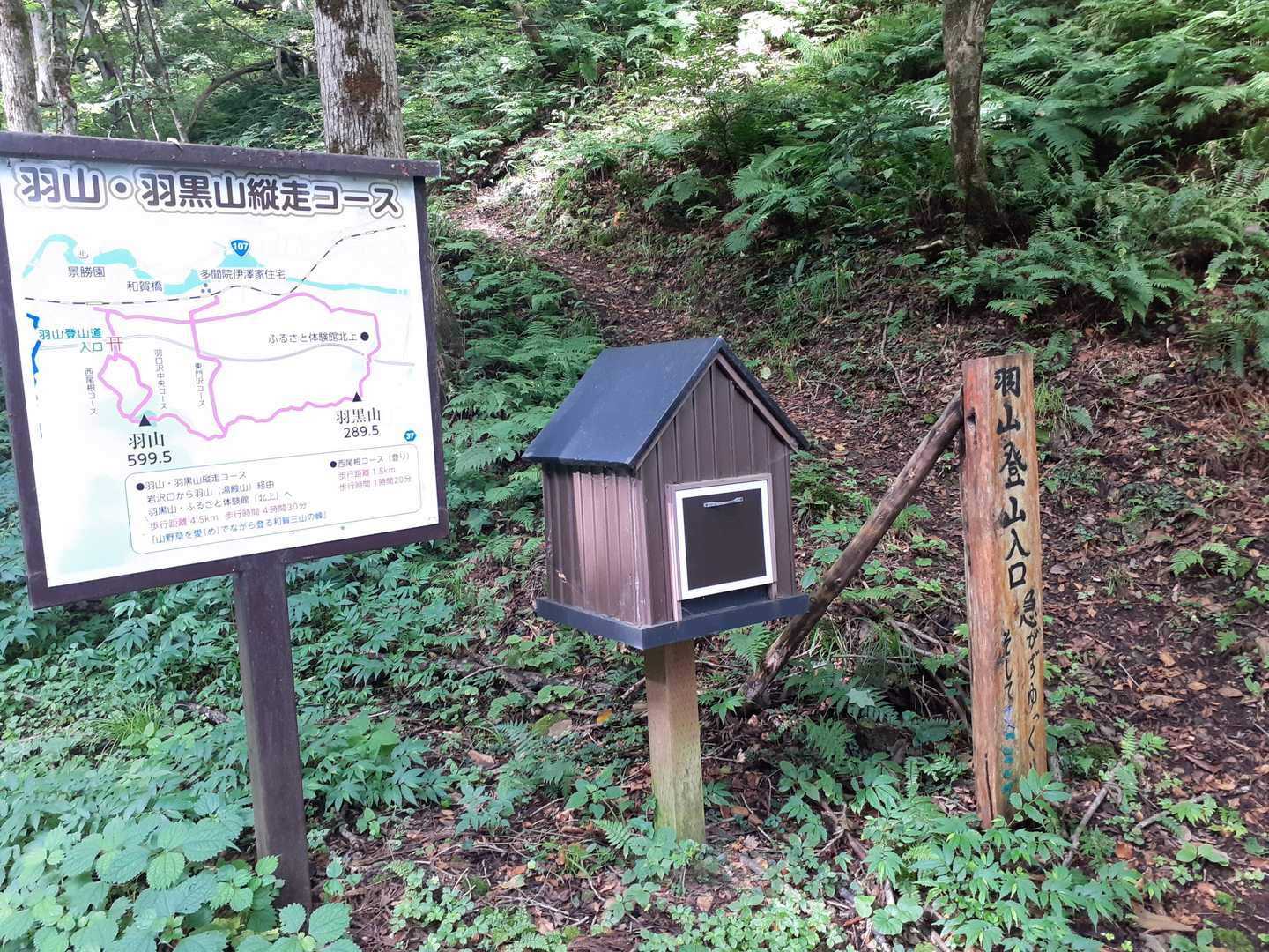 西尾根コースから登り羽黒山まで行く予定🐾🐾🐾