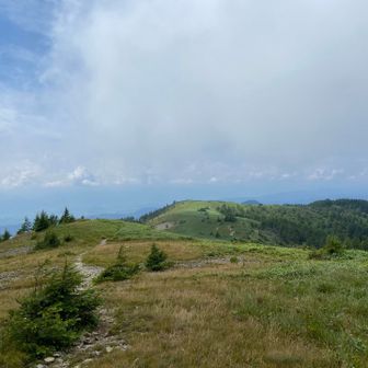 すぐに晴れる
その逆も然り
それが山の天気😆