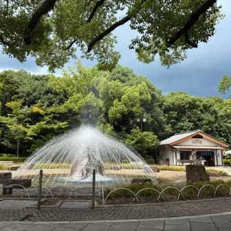 汗だくなので💦噴水で洗われたい⛲️