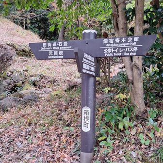 東坂は、畑宿から出発しました。