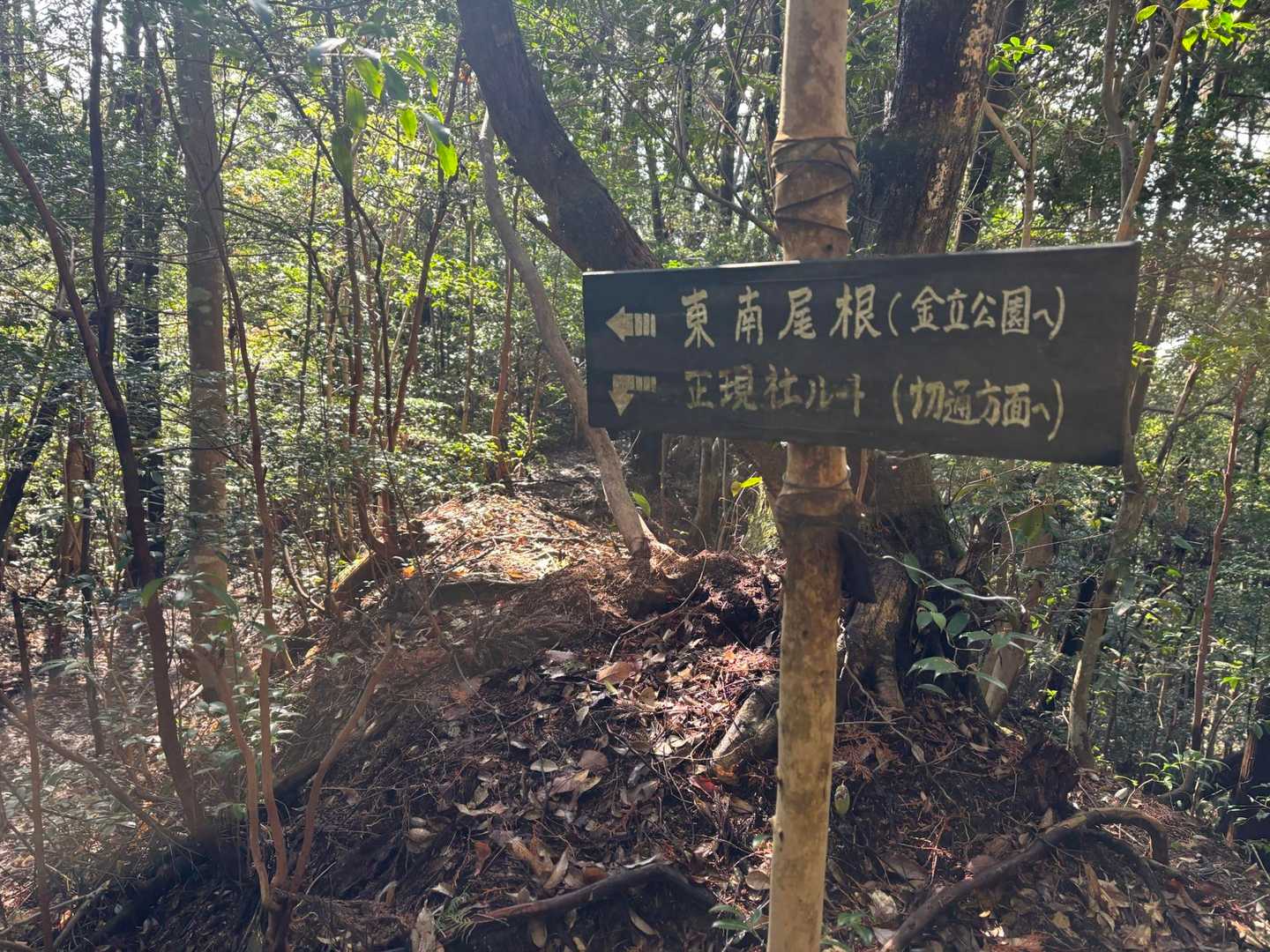 つい通過してしまってた