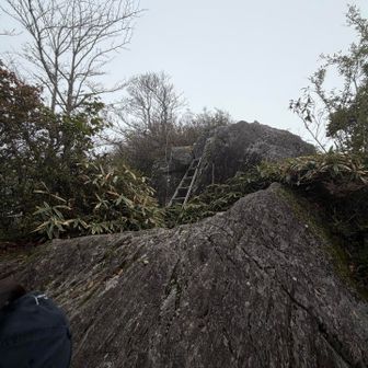 ハシゴを登っていきました
