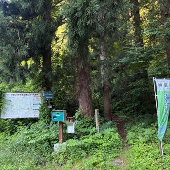本当の登山口まで送迎してもらいました🛻