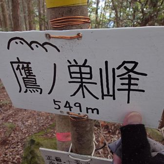 鷹ノ巣峰　到着→通過し山頂へ