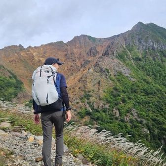 温岳会　Mrsailman 