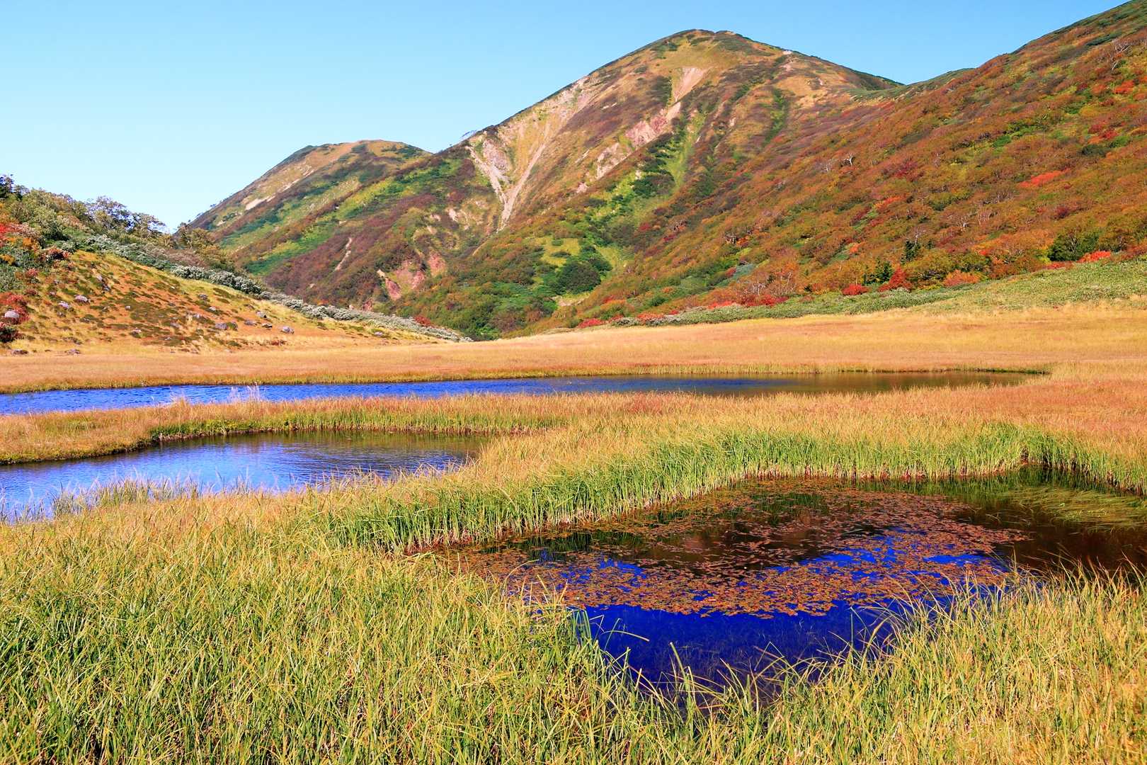 火打山の写真