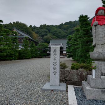 井伊家 菩提寺
全国各地にある!?