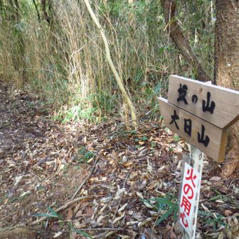 大日山方面へ