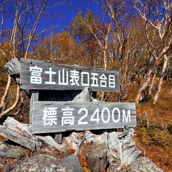 げざーん。
楽しい山行でした。