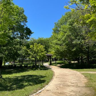 新緑と青空な１日でした😆