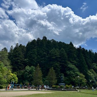 公園内を探しましたが…
ジョビたちには会えませんでした😂
早朝リベンジします🫡
