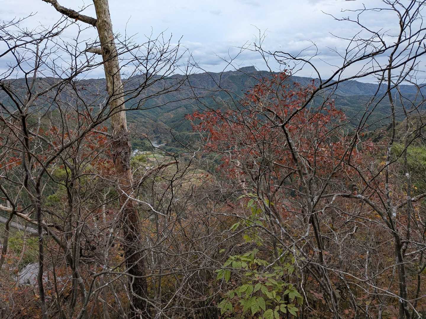 鷲の巣山付近より