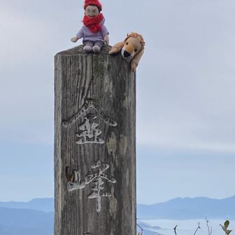 いろんなお花の名前や場所をらいくんさんから教えてもらいながら山頂に到着⛰️
らいくん🦁に会えて嬉しい小田さん😍
仲良し〜💕