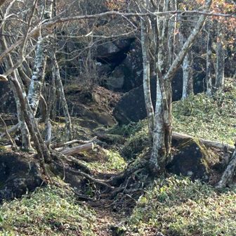 これから向かう荒山への道。きつそう💦