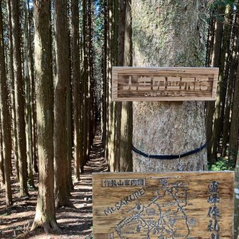 ドーン！息を呑む迫力🫢