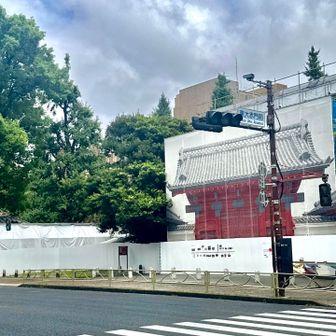 東大の赤門は工事中🚧