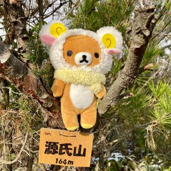 源氏山…⛰️

雪が止んで晴れて来た…🌤️