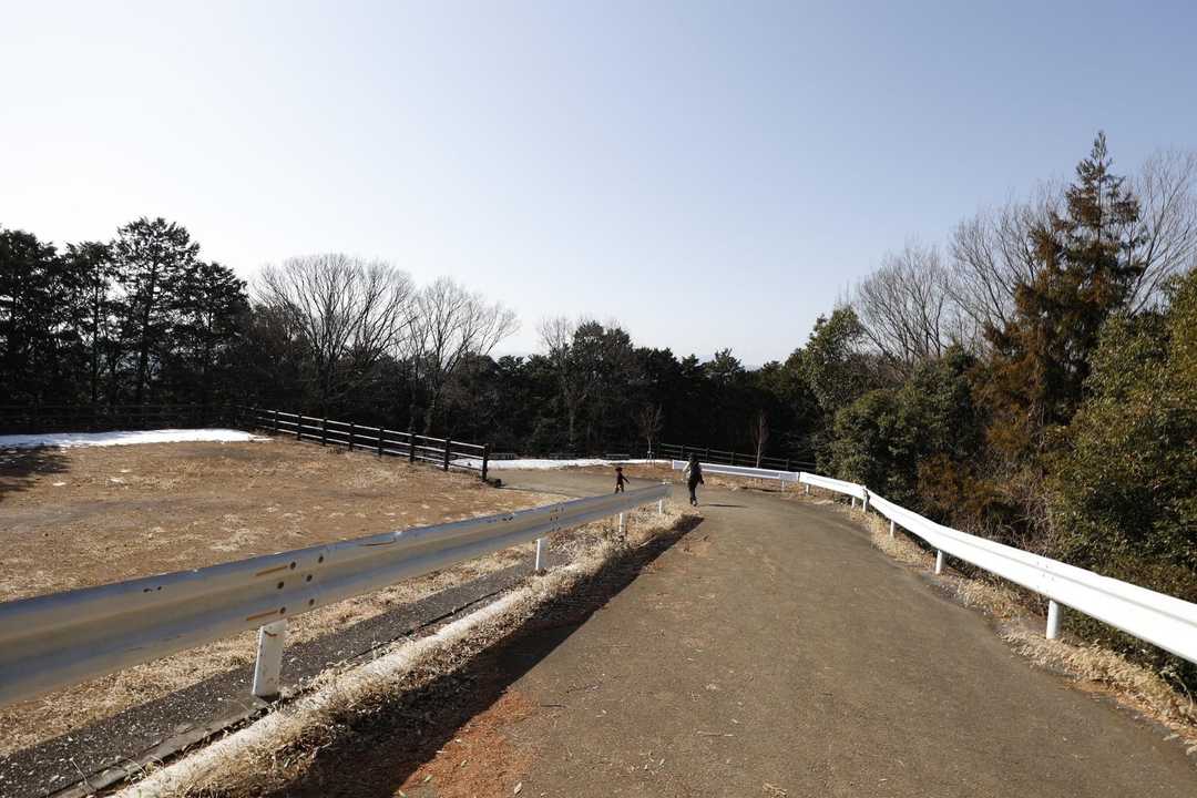日和田山・高指山・物見山・横手山 の写真 4