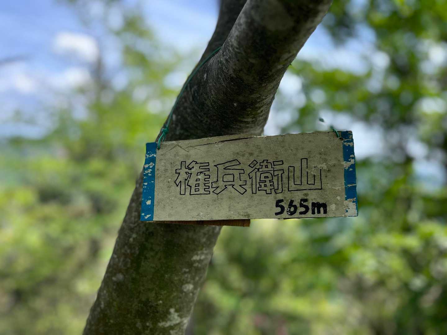 眺望なし